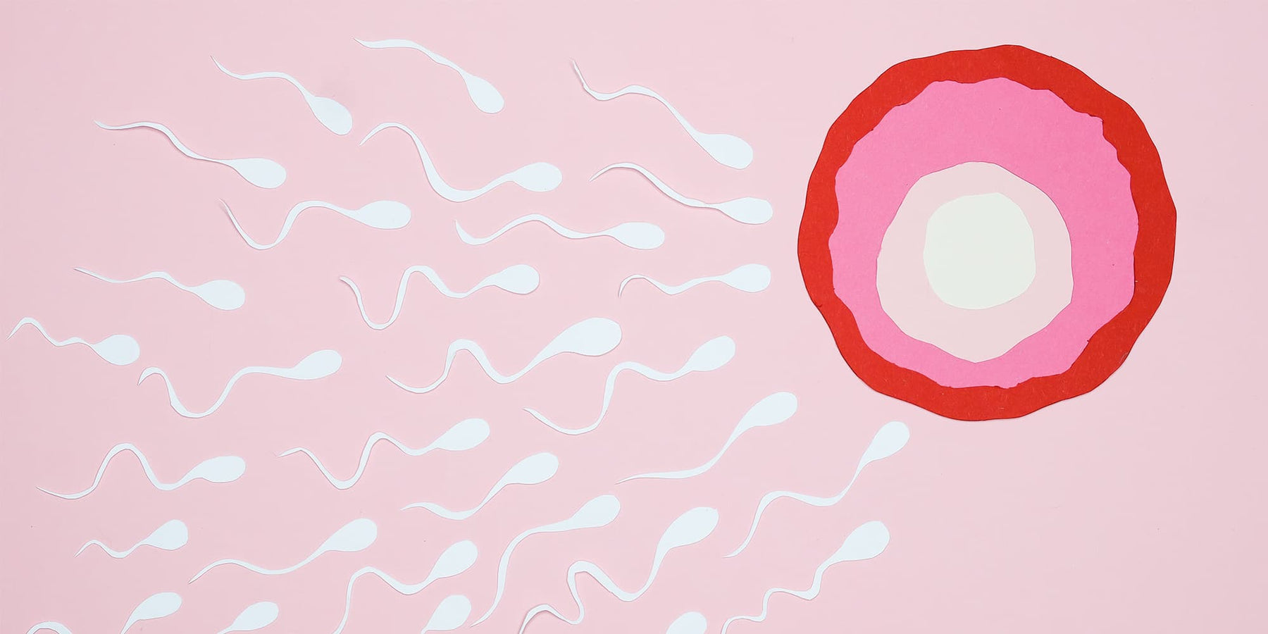 Slikken Of Laten Passeren? Alles Wat Je Moet Weten Over Sperma!