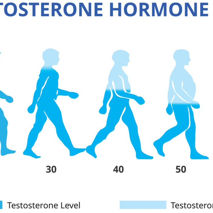 Natuurlijke Manieren om Testosteron te Boosten