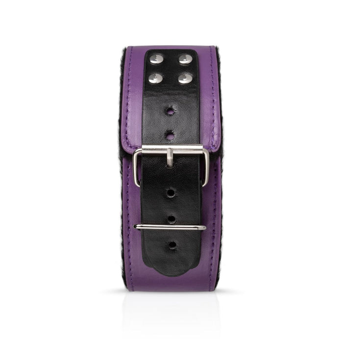 Bedroom Fantasies Purple Apprentice Bondageset