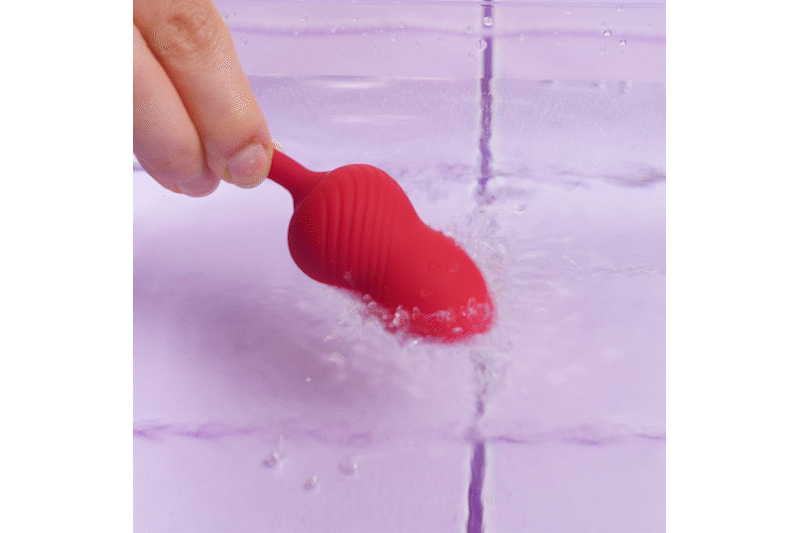 Teazers Clitoris Stimulator & Vibrator