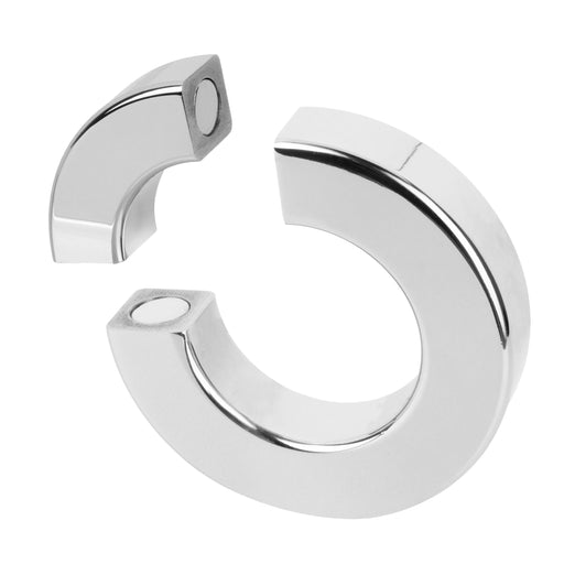 Bedroom Fantasies Magnetische Cockring Zilver