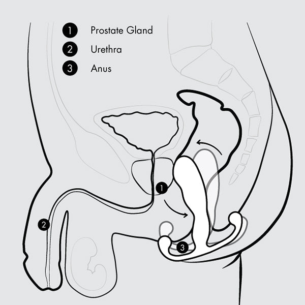 Aneros MGX Syn Trident Prostaat Stimulator